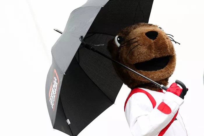 The Canadian Grand Prix Mascot 'Vroum'