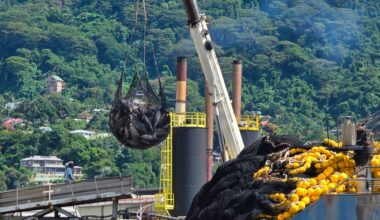 European fishing fleet's purse seiners dominate Indian Ocean tuna catch