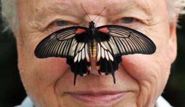 David Attenborough to celebrate 100th birthday with BBC party