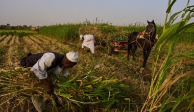 Sudan's farmers face financial loss as Middle East conflict raises costs