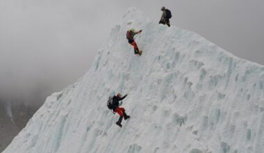 A record 274 climbers scale Everest in a single day