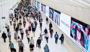 Young Americans' job market optimism falls: new poll