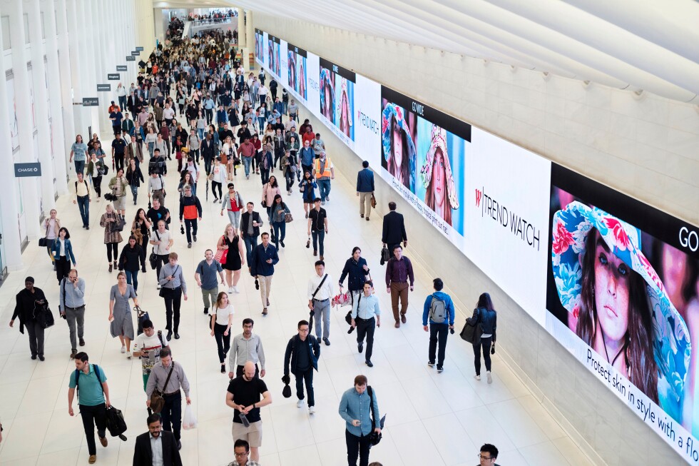 Young Americans' job market optimism falls: new poll