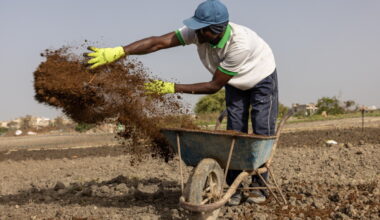 Iran war forces global farmers to seek alternatives to chemical fertilizer