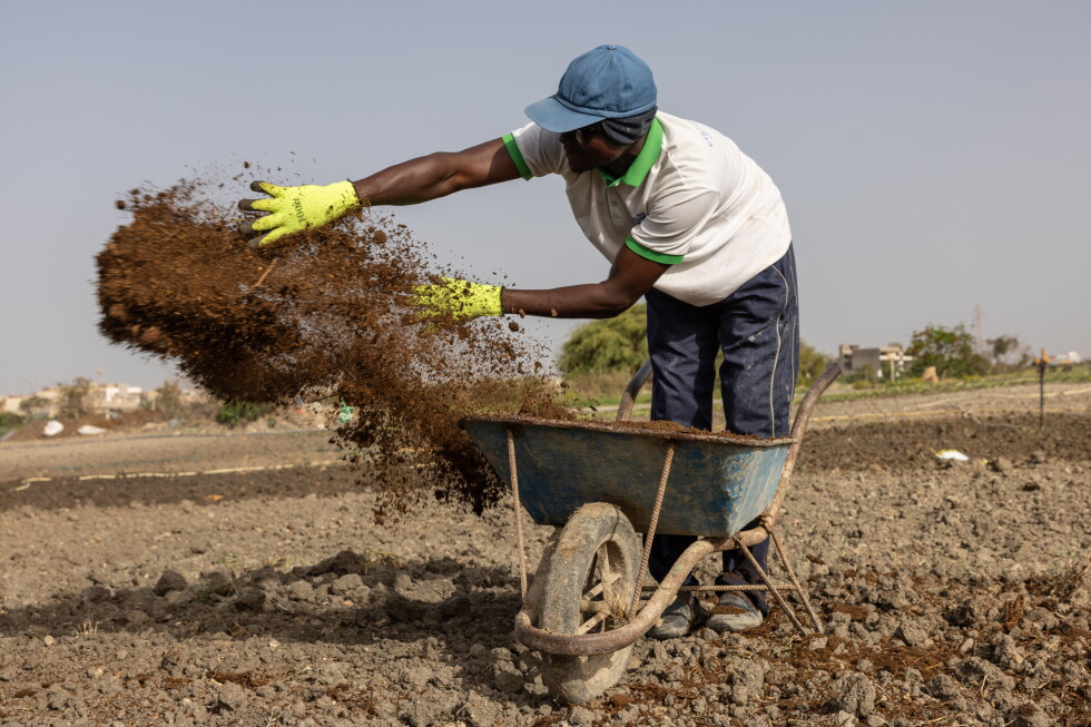 Iran war forces global farmers to seek alternatives to chemical fertilizer