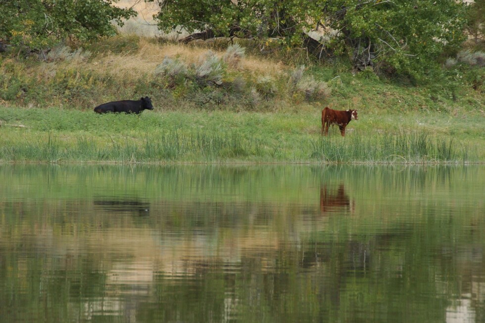 Interior Department cancels conservation rule on public lands