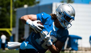 Detroit Lions logo