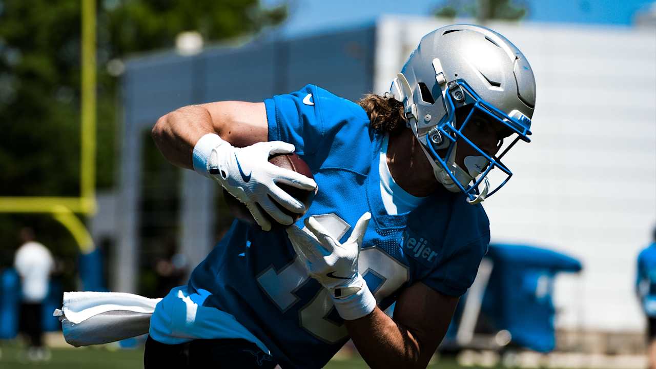 Detroit Lions logo