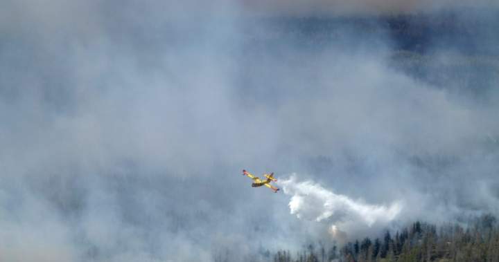 As wildfire season nears, Canada leasing 10 new firefighting aircraft - National