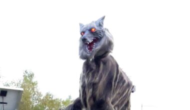 "Monster wolf" robots in high demand to scare off bears in Japan after record number of attacks