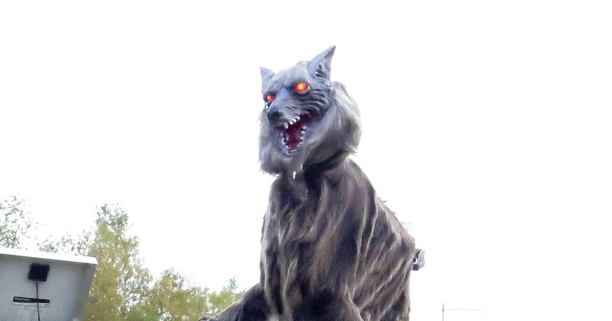 A robot called Monster Wolf is installed in an effort to scare away bears that have become an increasingly dangerous nuisance in the countryside, in Takikawa