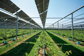 The Blogs: Why Missed Climate Targets by Global Investors Matter for Israel | Saul Singer
