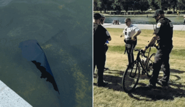 Former Olympian among those charged with vandalizing Reflecting Pool; Trump says basin must be drained: report