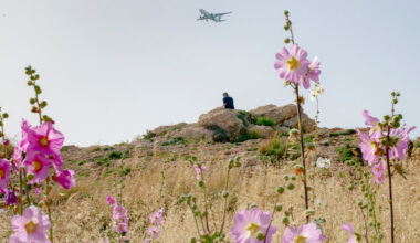 Opinion | I Went to Lebanon and Found Something Strangely Hopeful