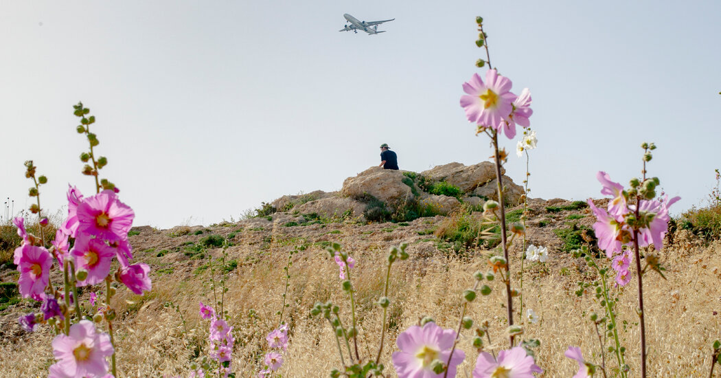 Opinion | I Went to Lebanon and Found Something Strangely Hopeful