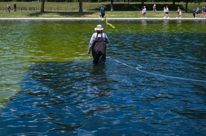 A worker scrubs algae from the bottom of the Lincoln Memorial Reflecting Pool.