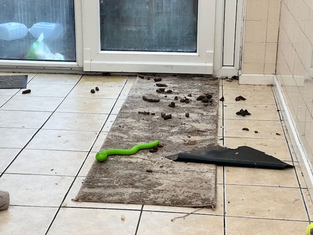 Pictures taken of the house during an inspection
