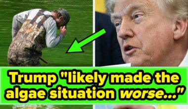"MAGA" Has Taken On A New Meaning After Trump's Reflecting Pool Mishap, And It’s Hilarious - BuzzFeed