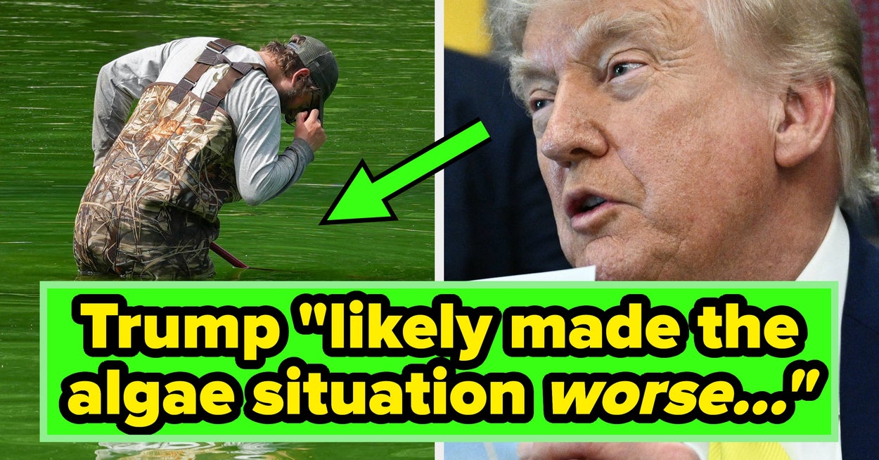 "MAGA" Has Taken On A New Meaning After Trump's Reflecting Pool Mishap, And It’s Hilarious - BuzzFeed