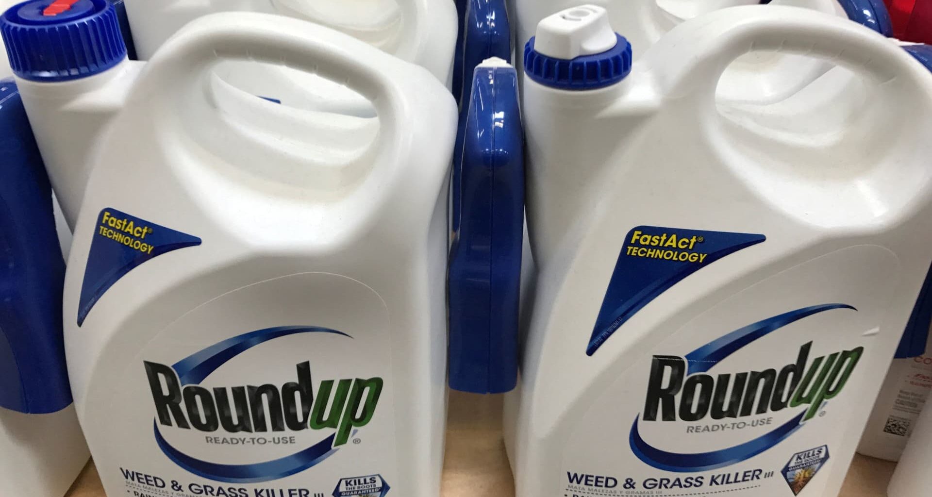 Supreme Court limits Roundup cancer suits against Bayer's Monsanto
