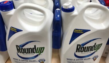 Supreme Court limits Roundup cancer suits against Bayer's Monsanto