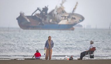 How the Strait of Hormuz standoff flipped the energy security debate