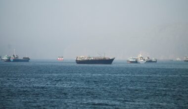 Ships in Persian Gulf quietly coordinate with U.S. Navy to exit Hormuz