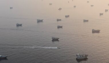Iran to define Hormuz future with Oman, Gulf states: U.S. officials