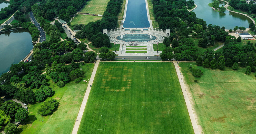National Mall Grass Vandalized with ’86 47’ Stains