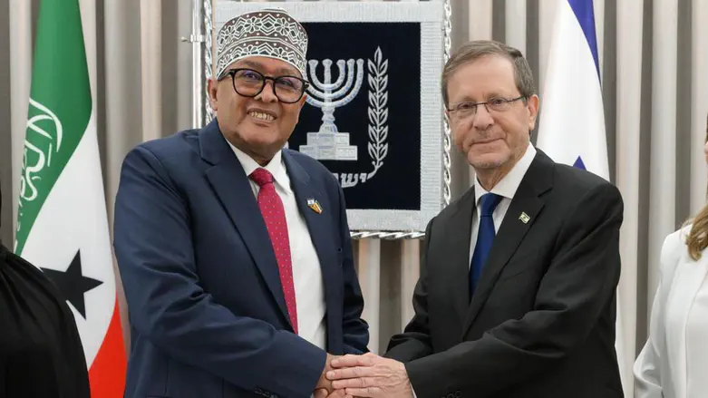 Herzog welcomes Somaliland President in historic Jerusalem visit