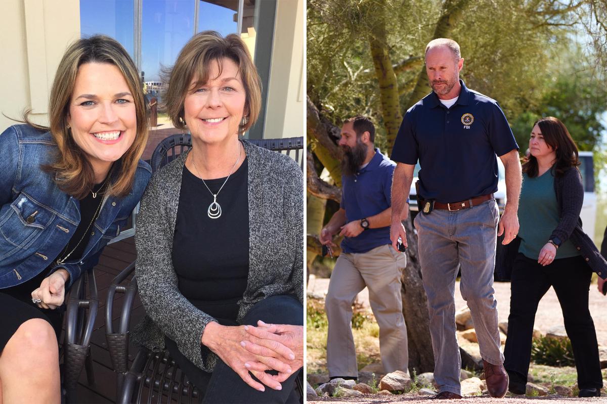 Nancy Guthrie likely targeted by local worker who believed family was wealthy: veteran investigator