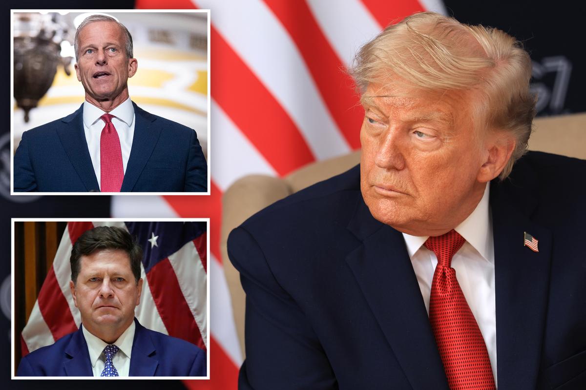 Trump bars Jay Clayton from appearing at DNI nominee hearing
