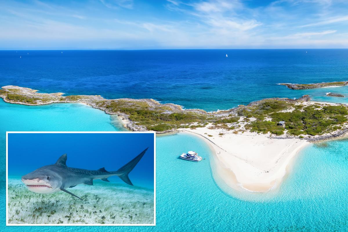 American boy, 12, attacked by shark while swimming at Bahamas resort