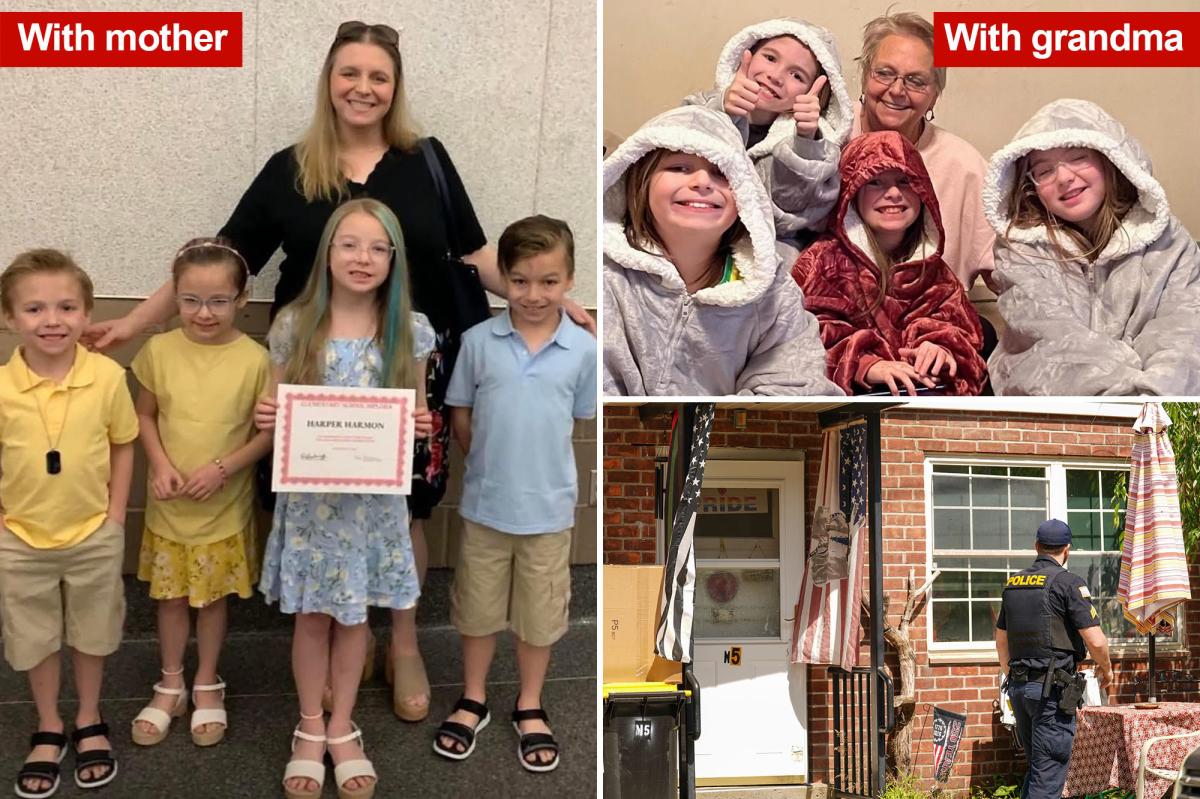 NY grandma likely poisoned, stabbed grandkids, daughter in murder-suicide: cops