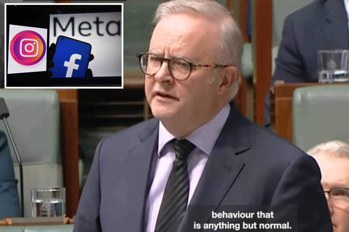 Australia PM Anthony Albanese stuns with ‘horrific’ viral comment in parliament
