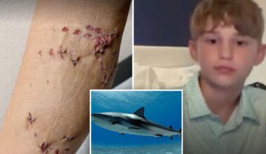 Boy, 12, saved by older brother after shark attack on Bahamas family vacation