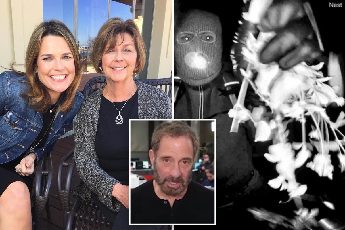 TMZ boss says he was prepared to pay Nancy Guthrie ransom to help case — but FBI 'ghosted' him