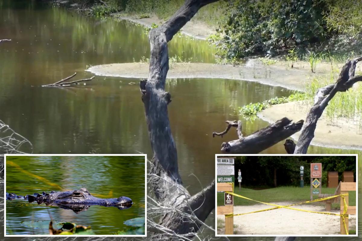 Boyfriend desperately tried to save hiker, 31, as massive alligator ripped her apart in three feet of water