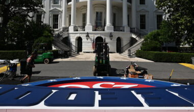 How to Watch the U.F.C. 250 Freedom Fights at the White House