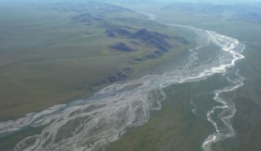 Oil Companies Skip Auction of Leases for Alaskan Refuge