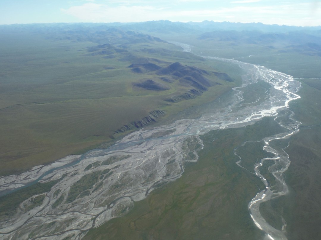 Oil Companies Skip Auction of Leases for Alaskan Refuge
