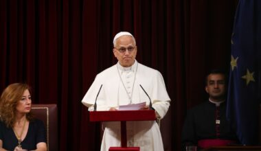 Pope Leo Condemns the Church's 'Scourge'