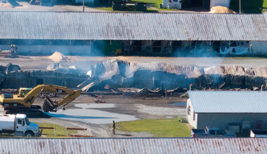 Barn Fire Kills 17 Horses at Harness Track in Saratoga Springs, N.Y.