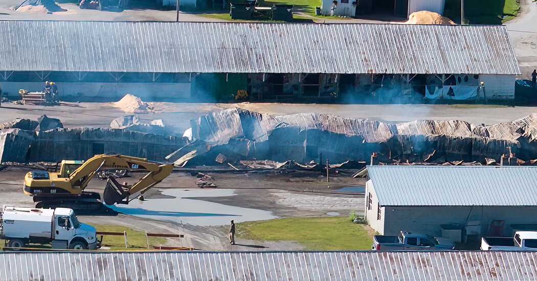 Barn Fire Kills 17 Horses at Harness Track in Saratoga Springs, N.Y.