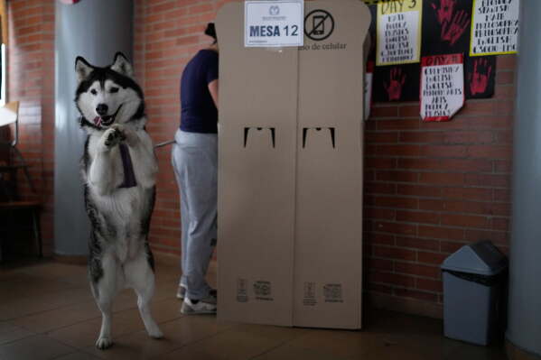 A voter marks a ballot during the presidential election in Bogota, Colombia, Sunday, May 31, 2026. (AP Photo/Matias Delacroix)