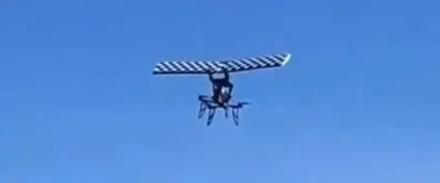 Wing FPVd
