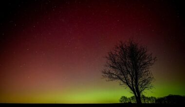 Northern Lights Alert: These 8 States Could See Aurora Borealis Tonight