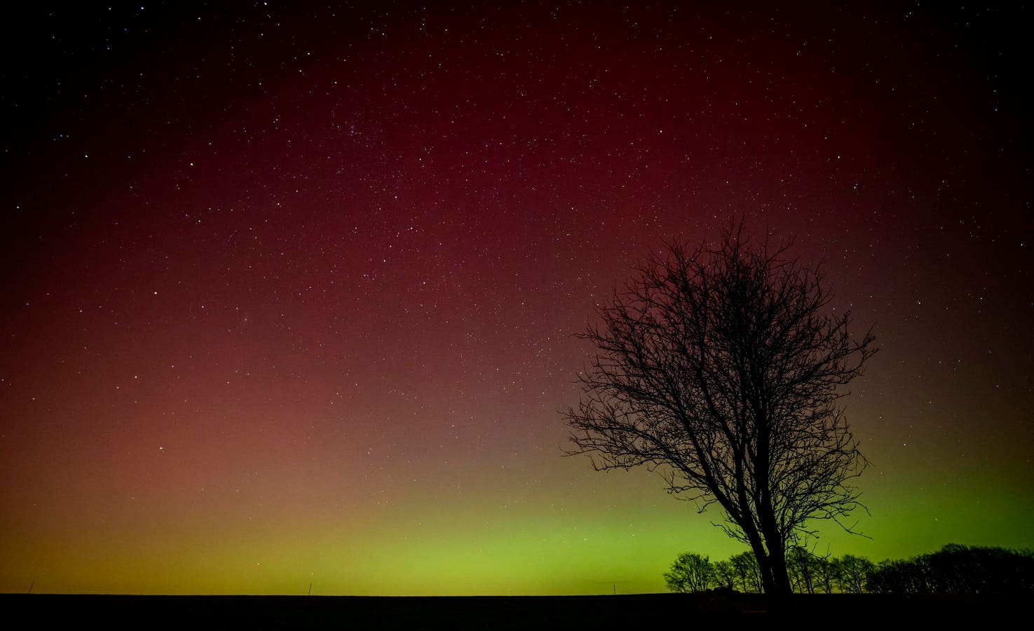 Northern Lights Alert: These 8 States Could See Aurora Borealis Tonight