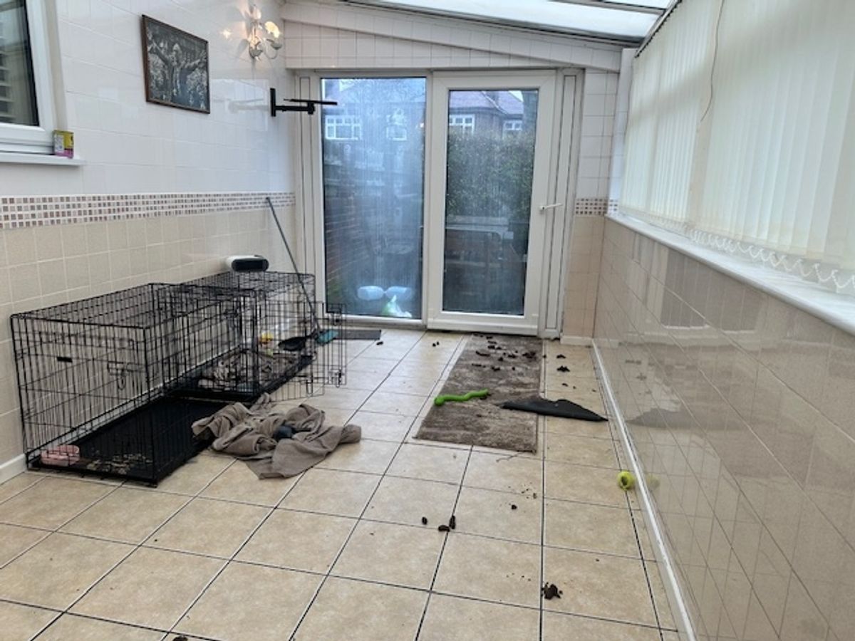 Pictures taken of the house during an inspection
