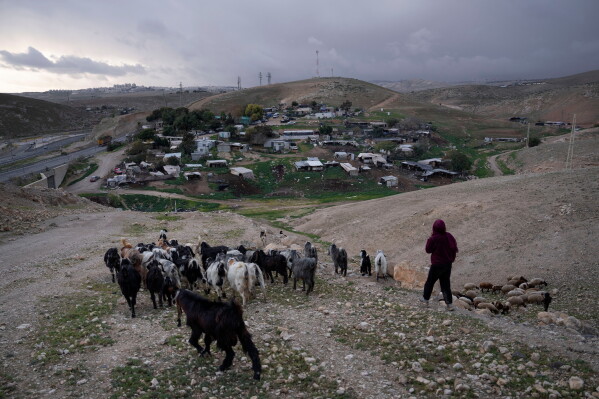 A Bedouin shepherd leads her goats at the hamlet of Khan al-Ahmar in the West Bank, Jan. 31, 2023. (AP Photo/Oded Balilty, File)
